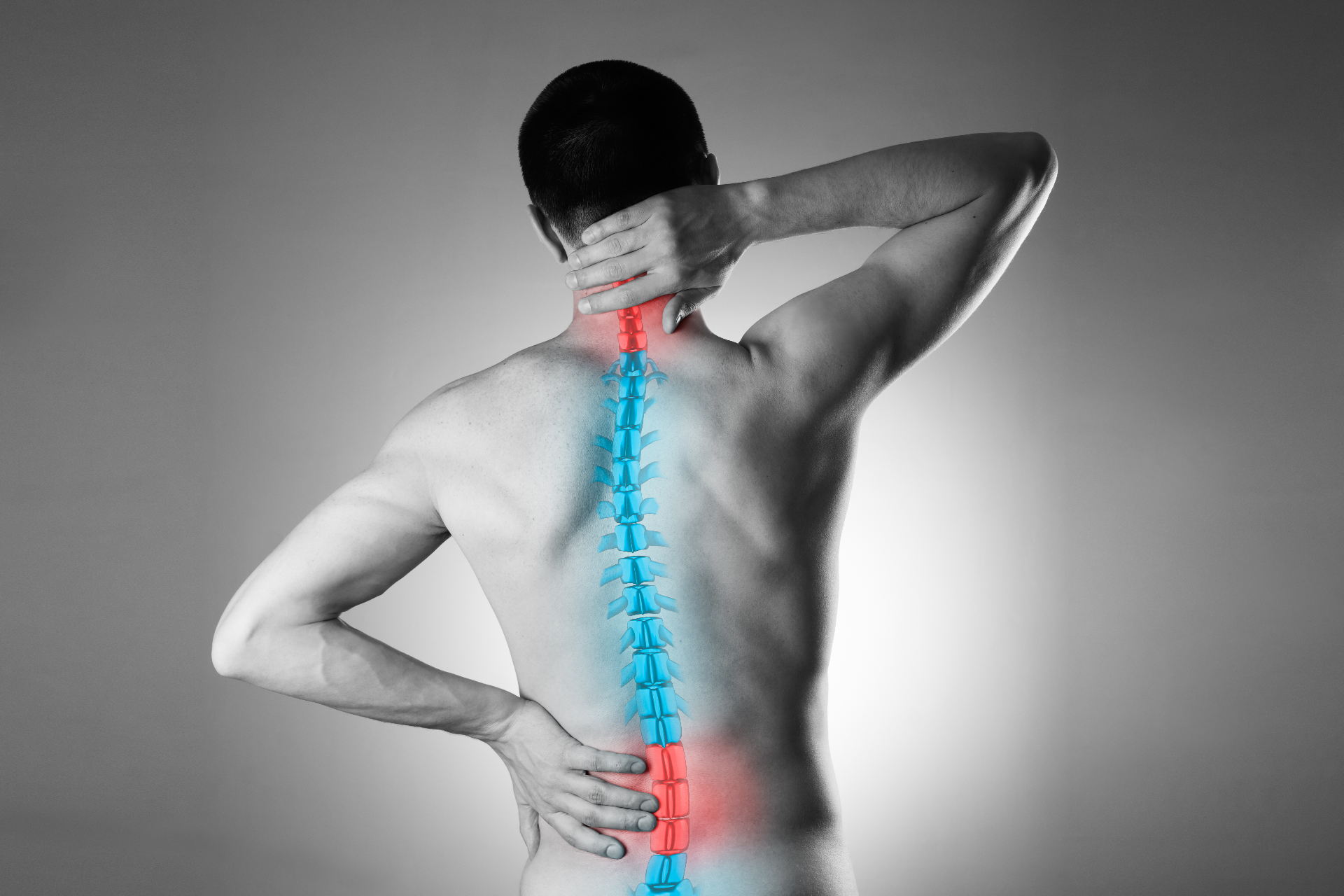 Anatomical illustration highlighting neck and lower back pain along the spine